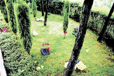 继花葬、壁葬之后 宜宾明年将推树葬(图1) 继花葬、壁葬之后 宜宾明年将推树葬(图1)