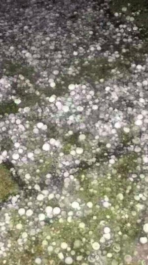 鸡蛋大冰雹突袭宜宾多乡镇(图2) 鸡蛋大冰雹突袭宜宾多乡镇(图2)