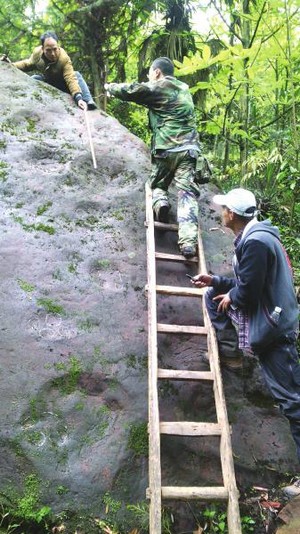 迅捷恐龙猎手 堪比今日猎豹(图2) 迅捷恐龙猎手 堪比今日猎豹(图2)