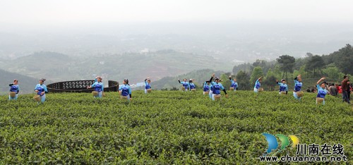 泸县石桥镇道林沟景区首届登山节圆满结束(图2) 泸县石桥镇道林沟景区首届登山节圆满结束(图2)