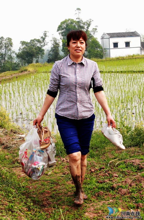 泸州龙马潭:打造万亩“罗沙贡米”基地(图3) 泸州龙马潭:打造万亩“罗沙贡米”基地(图3)