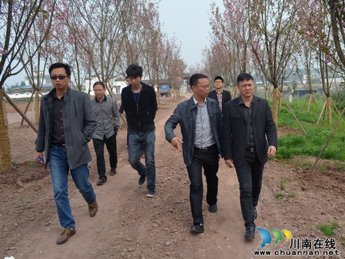 泸县副县长杜作文到龙桥文化生态园调研在建工程项目(图1) 泸县副县长杜作文到龙桥文化生态园调研在建工程项目(图1)