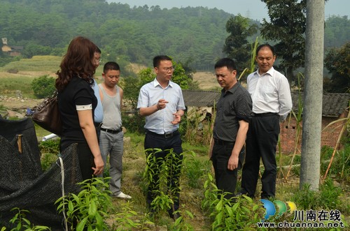 泸县副县长杜作文带队到玉蟾街道调研农业产业化工作(图2) 泸县副县长杜作文带队到玉蟾街道调研农业产业化工作(图2)