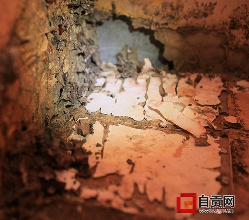 白蚁盛飞期将持续至5月上旬 市民不必惊慌(图1) 白蚁盛飞期将持续至5月上旬 市民不必惊慌(图1)