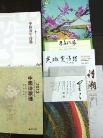 32年厚积薄发 宜宾诗人荣登榜首(图1) 32年厚积薄发 宜宾诗人荣登榜首(图1)
