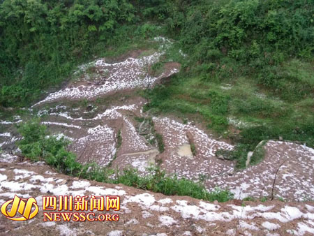 泸州古蔺叙永部分地区遭冰雹袭击 持续1小时(图2) 泸州古蔺叙永部分地区遭冰雹袭击 持续1小时(图2)