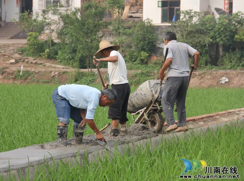 奇峰镇：农业综合开发项目如火如荼建设(图1)