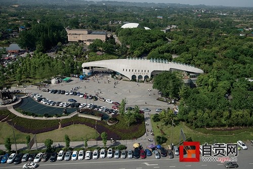 中国“第五大发明”是咱自贡造(图1)