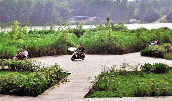 谢家河生态湿地公园——别让车轮碾坏了风景(图4) 谢家河生态湿地公园——别让车轮碾坏了风景(图4)