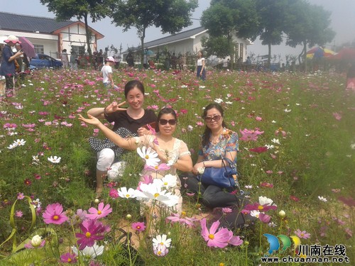 华阳街道：感恩母亲节，自由踏青行(图2)