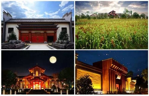 泸州市第三届十大经济人物终评公布(图12) 泸州市第三届十大经济人物终评公布(图12)
