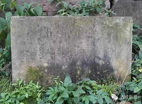 上百国内外专家今日来泸州见证"铁泸城"(图4) 上百国内外专家今日来泸州见证"铁泸城"(图4)