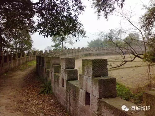 上百国内外专家今日来泸州见证"铁泸城"(图2) 上百国内外专家今日来泸州见证"铁泸城"(图2)