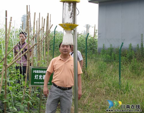 泸州市农业局植保专家莅临泸县指导绿色防控工作(图1) 泸州市农业局植保专家莅临泸县指导绿色防控工作(图1)