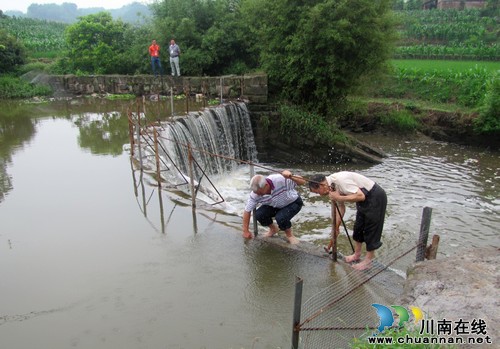 泰安镇:拆除河道拦鱼网,确保河道行洪顺畅(图1) 泰安镇:拆除河道拦鱼网,确保河道行洪顺畅(图1)