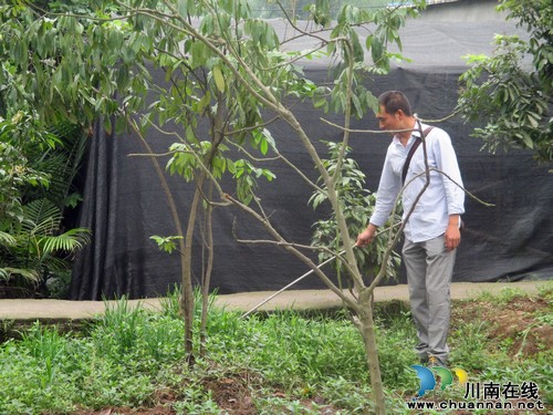 华阳街道：开展禁种铲毒踏查工作&nbsp;实现“零种植”目标(图1)