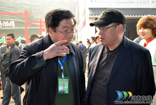 泸州百亿茶业&nbsp;路在何方(图3)