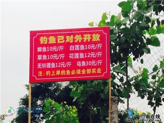 世川农庄开园了&nbsp;摘葡萄吃西瓜钓鱼品美食(图7)