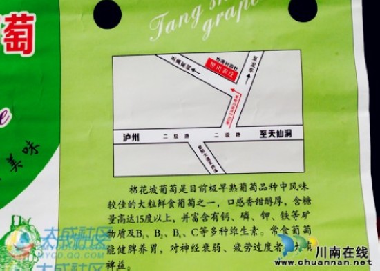 世川农庄开园了&nbsp;摘葡萄吃西瓜钓鱼品美食(图2)