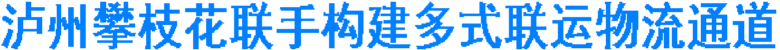 泸州攀枝花联手构建多式联运物流通道(图1) 泸州攀枝花联手构建多式联运物流通道(图1)