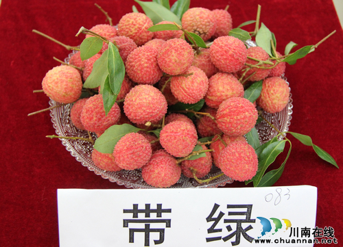 合江•荷塘荔色生态旅游周将于7月10日开幕(图4)