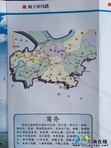 合江•荷塘荔色生态旅游周将于7月10日开幕(图6)