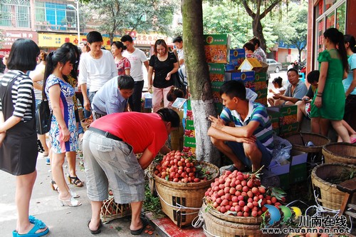 首届合江•荷塘荔色生态旅游周开幕(图14) 首届合江•荷塘荔色生态旅游周开幕(图14)