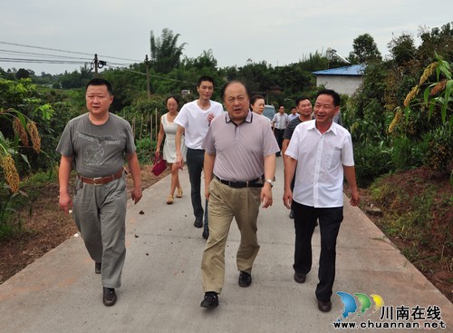 省农场管理局领导到泸县检查龙眼病虫害防治情况