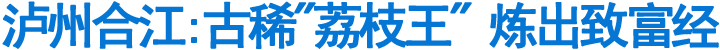 泸州合江:古稀"荔枝王"炼出致富经(图1)