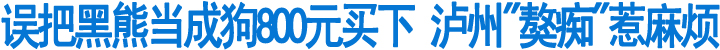 误把黑熊当成狗800元买下&nbsp;泸州"獒痴"惹麻烦(图1)