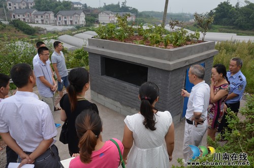 华阳街道西岸村公路沿线垃圾点将作为样板在江阳区推开建设(图1)