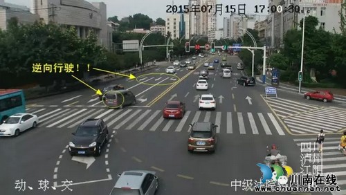 泸州交警提醒:生命只有一次请勿逆向行驶(图1) 泸州交警提醒:生命只有一次请勿逆向行驶(图1)