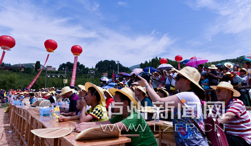 泸州叙永县赤水河首届凤凰李采摘节启幕(图3) 泸州叙永县赤水河首届凤凰李采摘节启幕(图3)