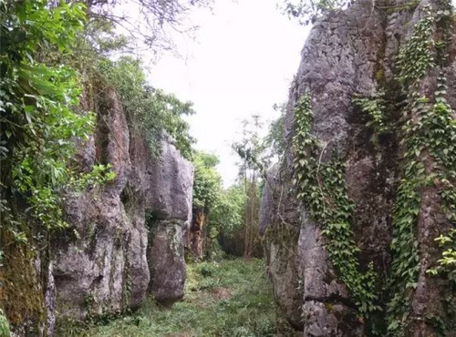 泸州:你知道古蔺原始石林里怪异奇石那些事儿吗?(图5) 泸州:你知道古蔺原始石林里怪异奇石那些事儿吗?(图5)