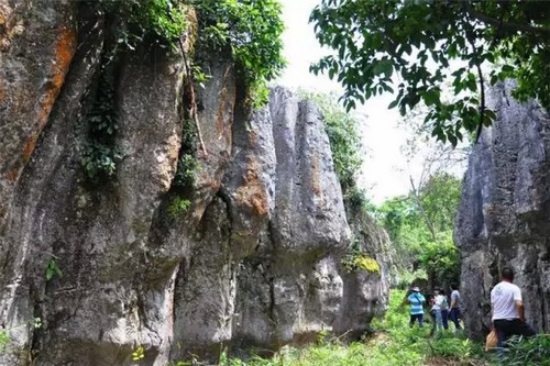 泸州:你知道古蔺原始石林里怪异奇石那些事儿吗?(图6) 泸州:你知道古蔺原始石林里怪异奇石那些事儿吗?(图6)