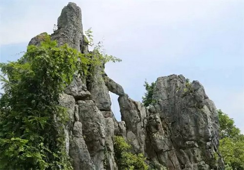 泸州:你知道古蔺原始石林里怪异奇石那些事儿吗?(图8) 泸州:你知道古蔺原始石林里怪异奇石那些事儿吗?(图8)