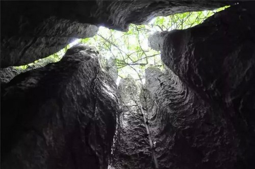 泸州:你知道古蔺原始石林里怪异奇石那些事儿吗?(图7) 泸州:你知道古蔺原始石林里怪异奇石那些事儿吗?(图7)