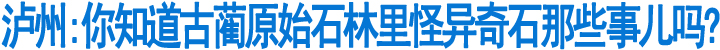 古蔺深山石林竟有如此怪异奇石(图1)