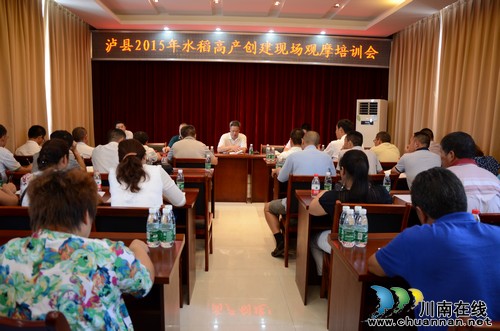 泸县召开2015年水稻高产创建现场观摩培训会(图1) 泸县召开2015年水稻高产创建现场观摩培训会(图1)