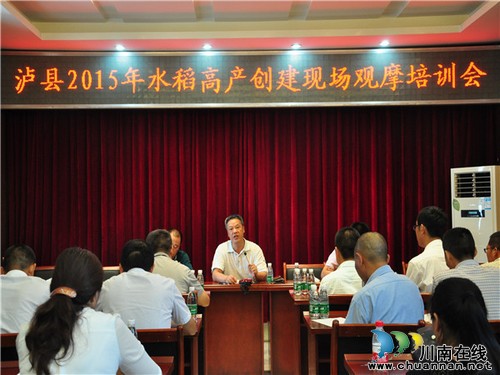 泸县召开水稻高产创建暨新品种展示现场观摩会(图2) 泸县召开水稻高产创建暨新品种展示现场观摩会(图2)