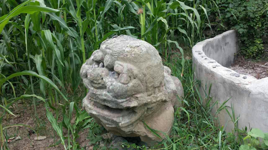 中国•泸州:赤水河共识(全文)(图13) 中国•泸州:赤水河共识(全文)(图13)