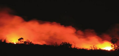 雷电引燃山林&nbsp;扑灭连续3次复燃(图1)