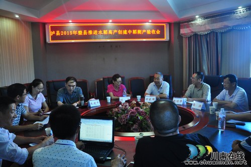 泸县2015年整县推进水稻高产创建项目通过省级专家验收(图1)