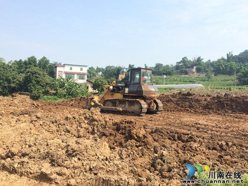 合江:总投资3.5亿元黑山羊种养场基地养殖加工项目落户建设(图1)