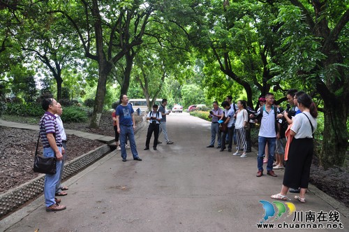 泸县召开龙眼产业发展新闻发布会(图3) 泸县召开龙眼产业发展新闻发布会(图3)