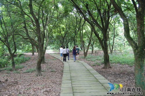 "小天堂"罗湾村：桂圆、河鱼、美食、美景、大院(图6)
