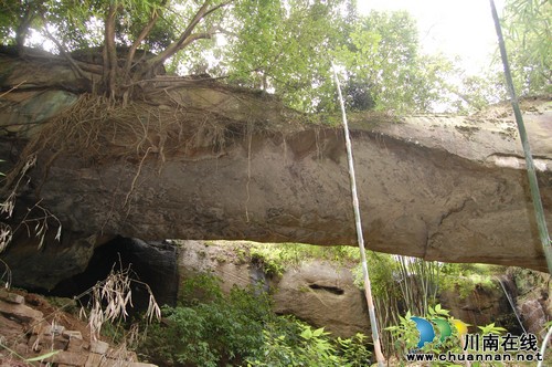 "小天堂"罗湾村：桂圆、河鱼、美食、美景、大院(图9)