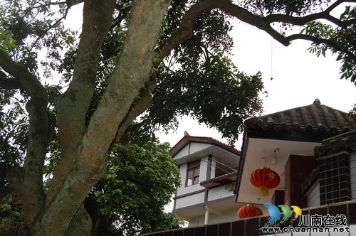 "小天堂"罗湾村：桂圆、河鱼、美食、美景、大院(图16)