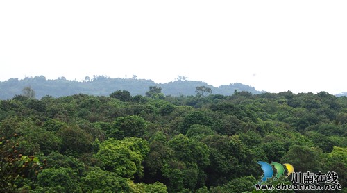 "小天堂"罗湾村：桂圆、河鱼、美食、美景、大院(图4)
