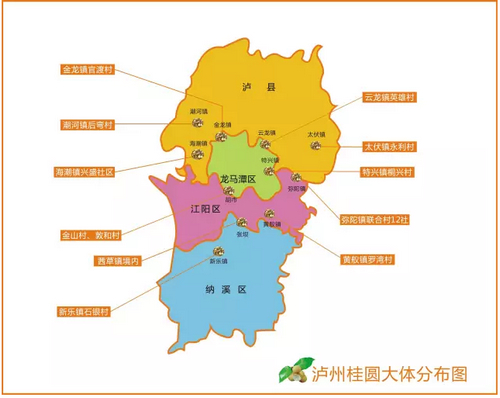 3天小长假期 跟着地图去泸州淘桂圆吧(图1) 3天小长假期 跟着地图去泸州淘桂圆吧(图1)